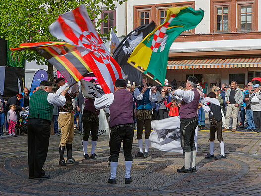 Gothardusfest 2015 - Fahnenschwingerauftritt