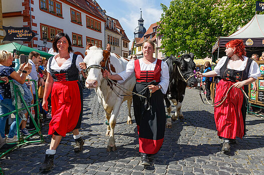 Festumzug_©Bernd Seydel