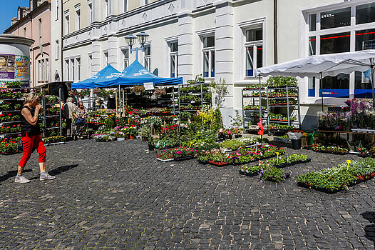 Grüner Markt_©Bernd Seydel